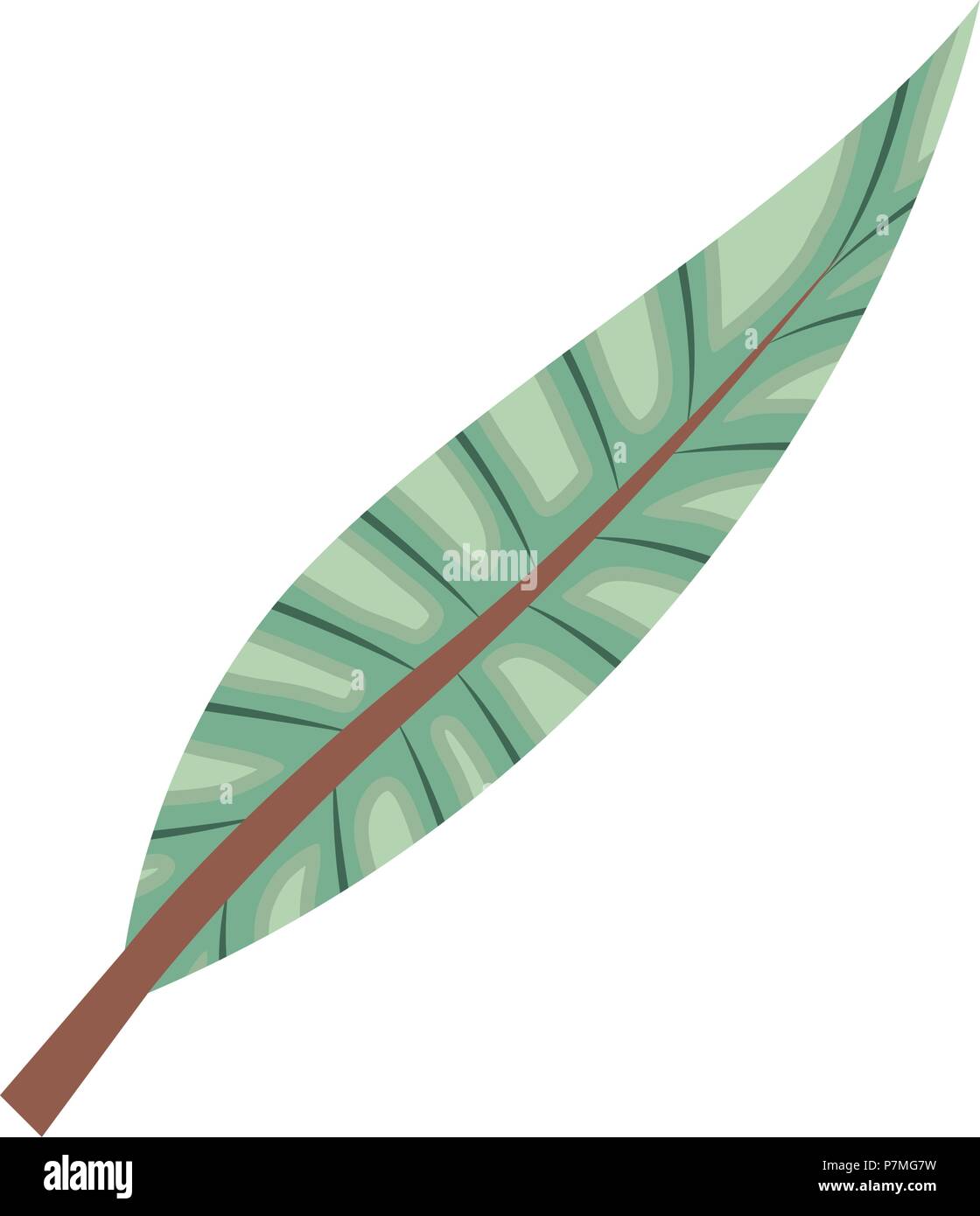 leaf plant ecology icon Stock Vector Image & Art - Alamy