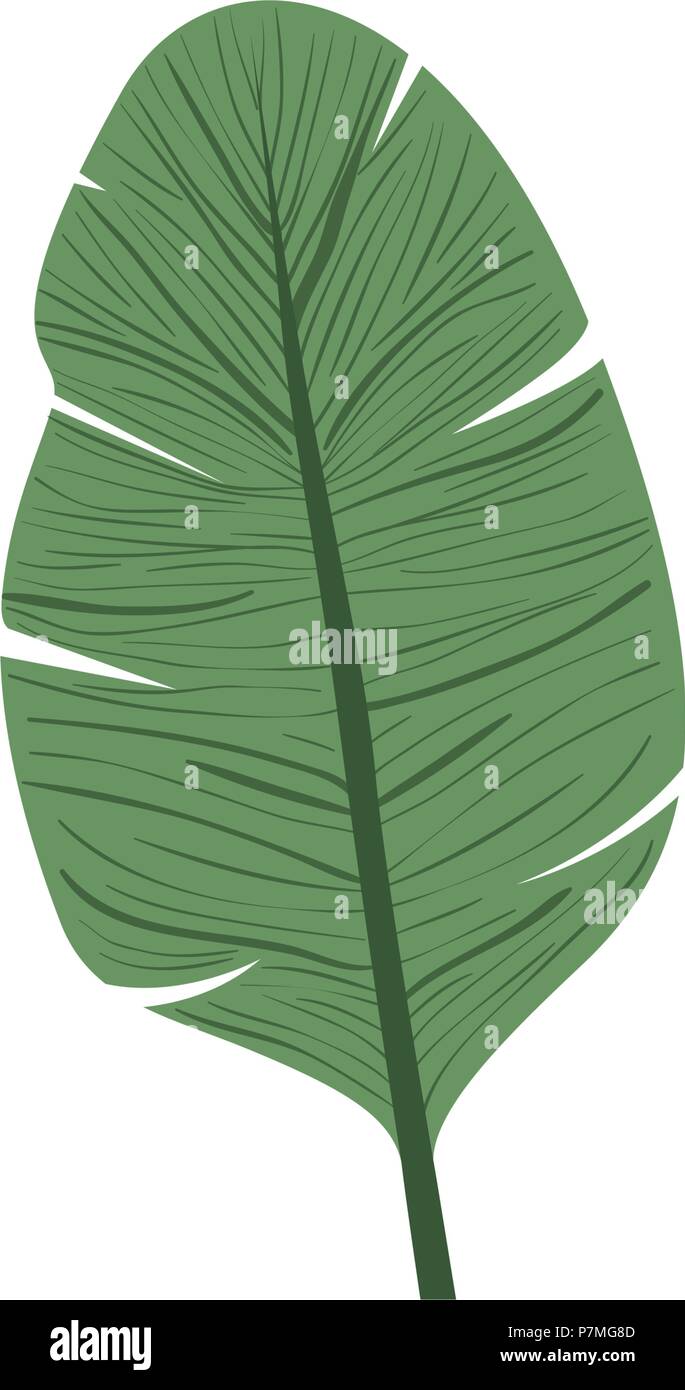 leaf plant ecology icon Stock Vector Image & Art - Alamy