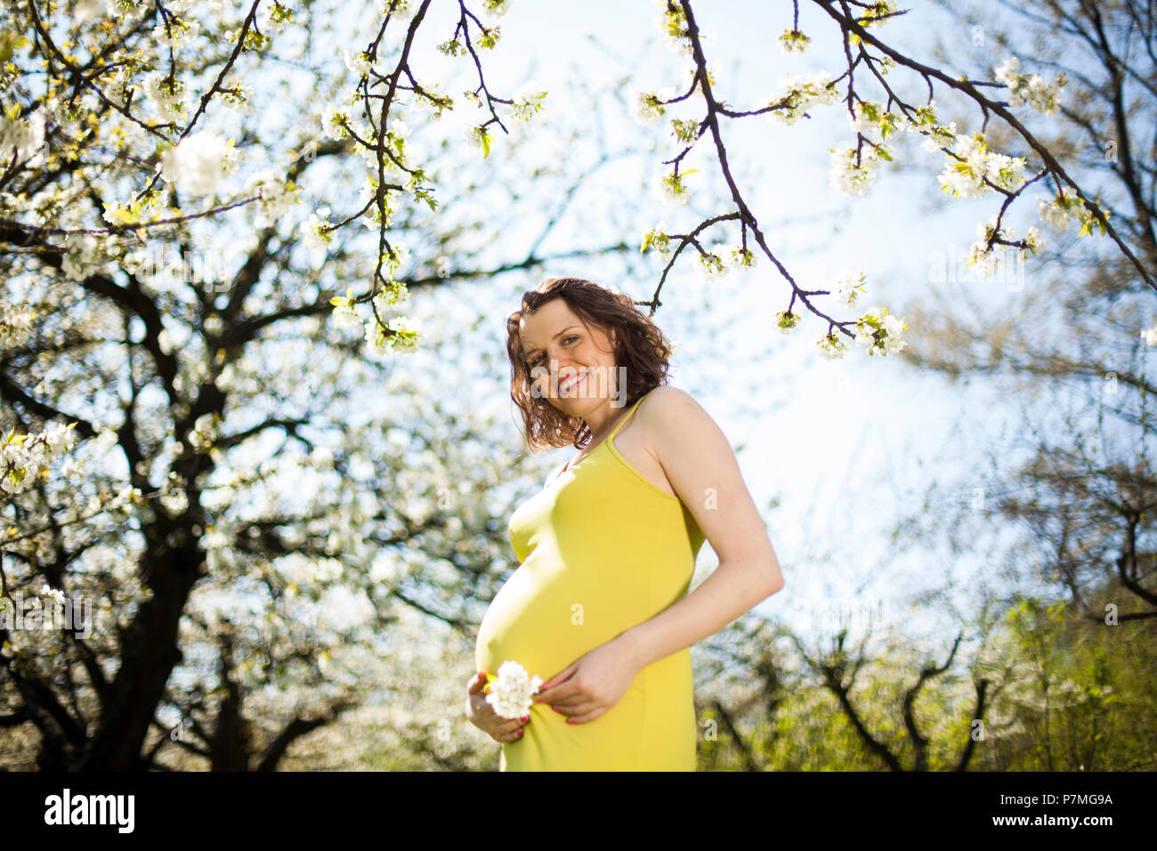 Blooming garden, Beautiful pregnant woman Stock Photo Alamy