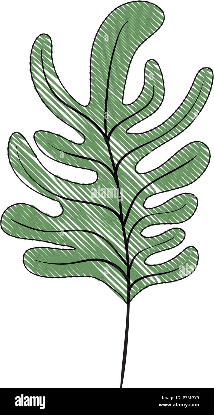 leaf plant ecology icon Stock Vector Image & Art - Alamy