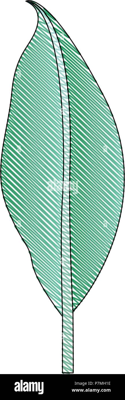 leaf plant ecology icon Stock Vector Image & Art - Alamy