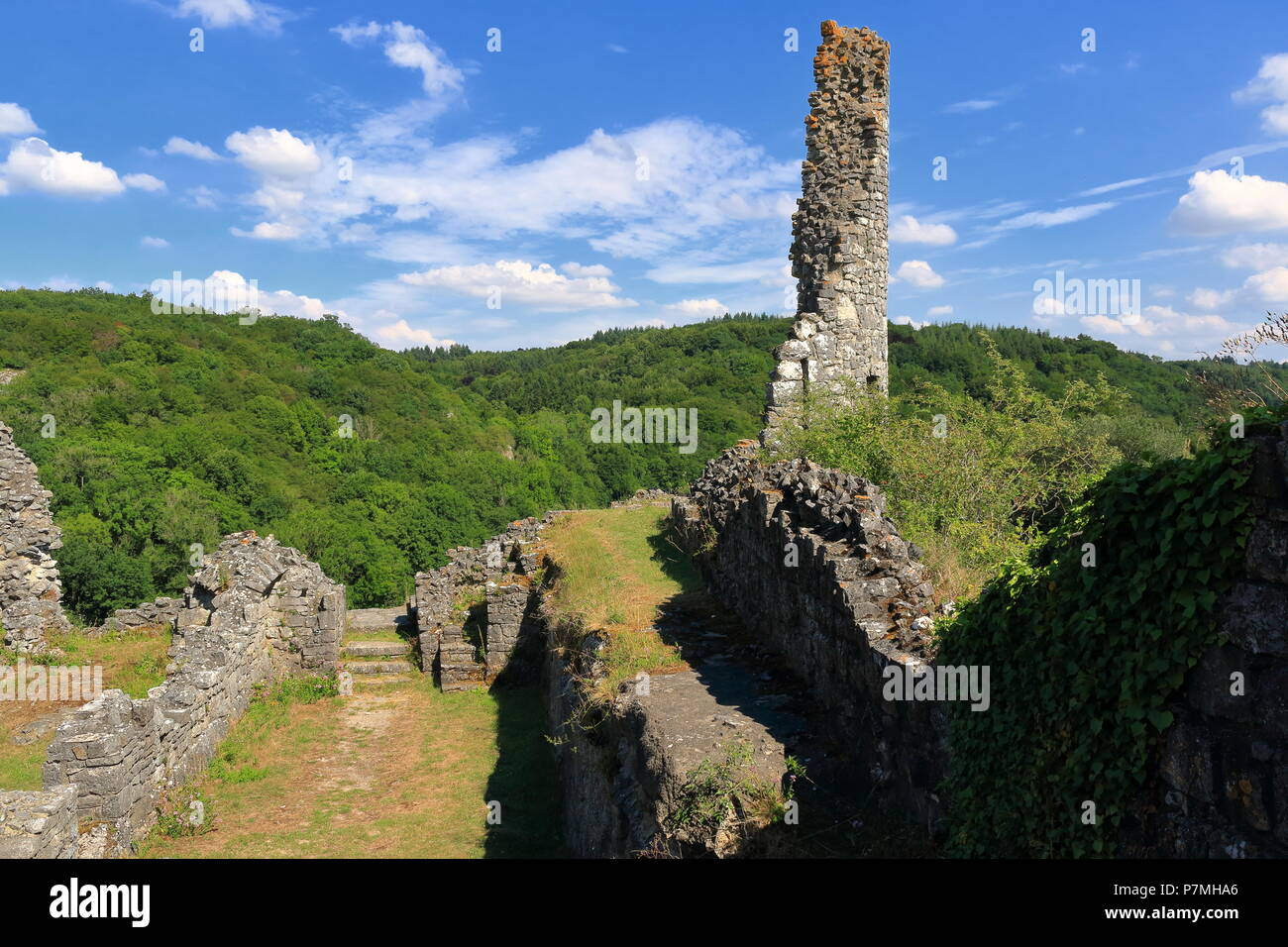 Ruins of Montaigle Castle Stock Photo
