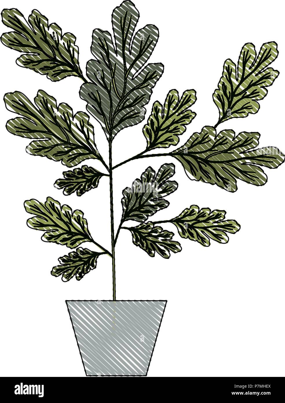 house plant in pot decorative icon Stock Vector Image & Art - Alamy