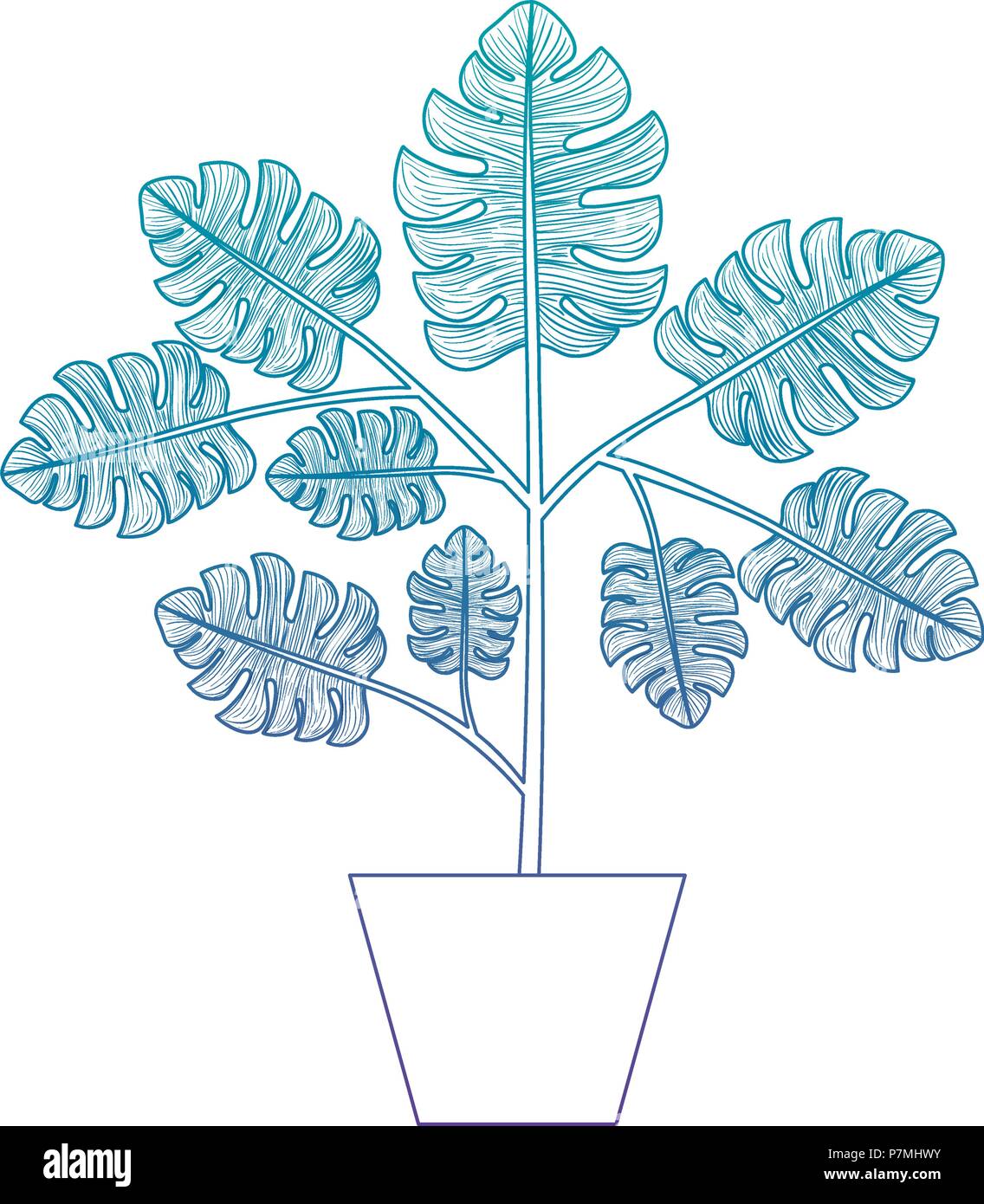 house plant in pot decorative icon Stock Vector Image & Art - Alamy