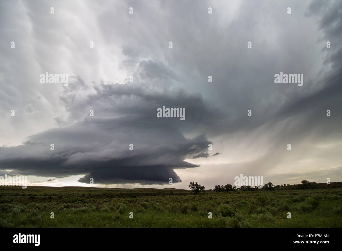 A supercell thunderstorm updraft spirals high into the sky of eastern Colorado in this eerie scene. Stock Photo