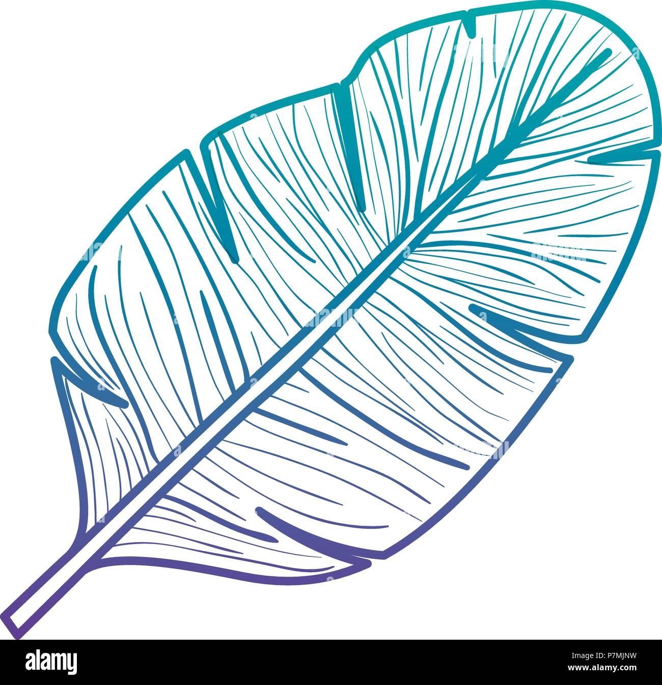 leaf plant ecology icon Stock Vector Image & Art - Alamy
