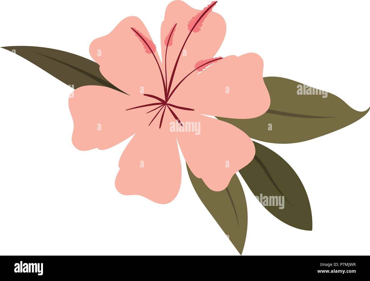 beautiful flower and leafs garden Stock Vector Image & Art - Alamy