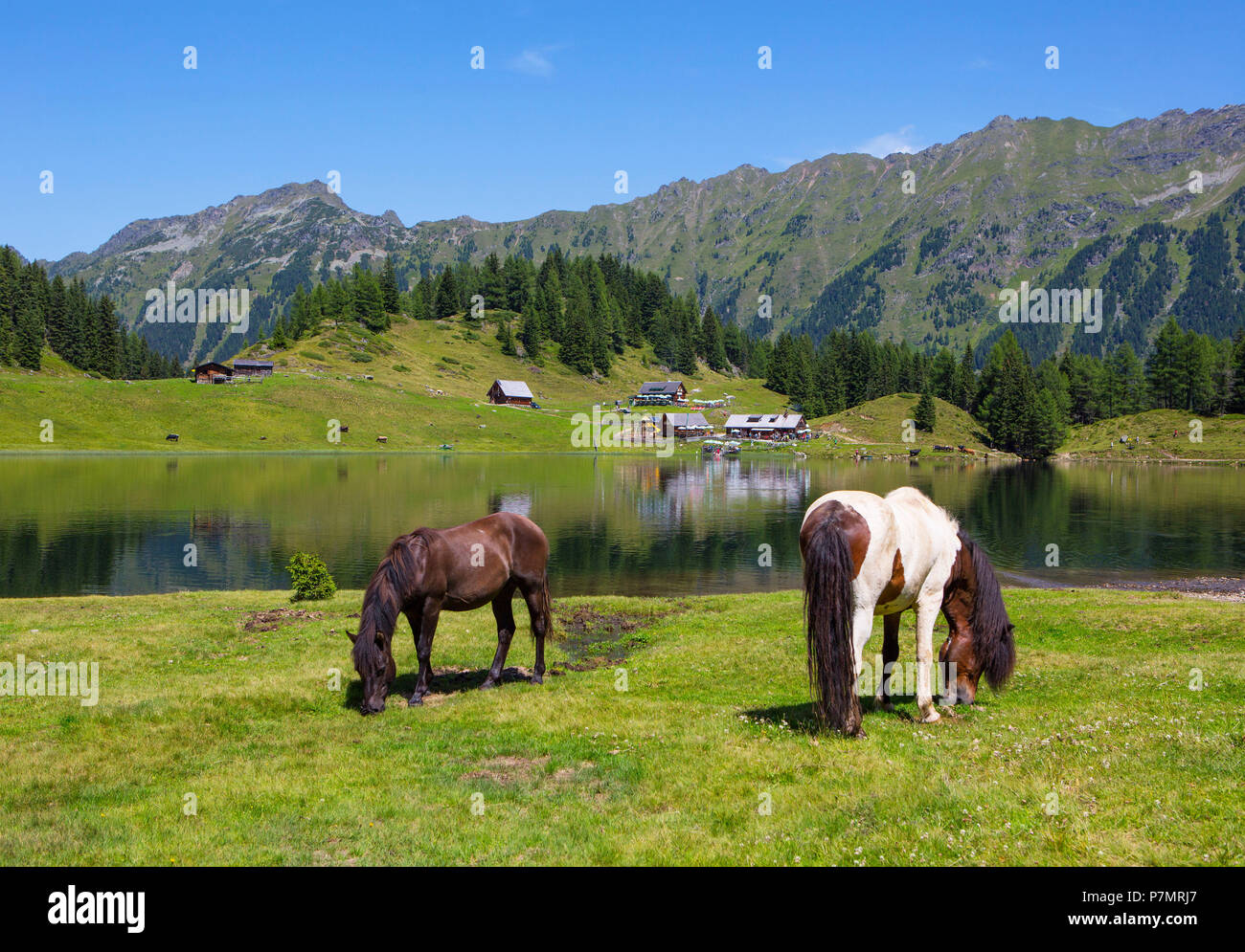 Austria, Styria, Schladming, Obertal, Duisitzkarsee, mountain lake, Duisitzkar hut, Fahrlechner hut, Schladminger Tauern, Horses Stock Photo
