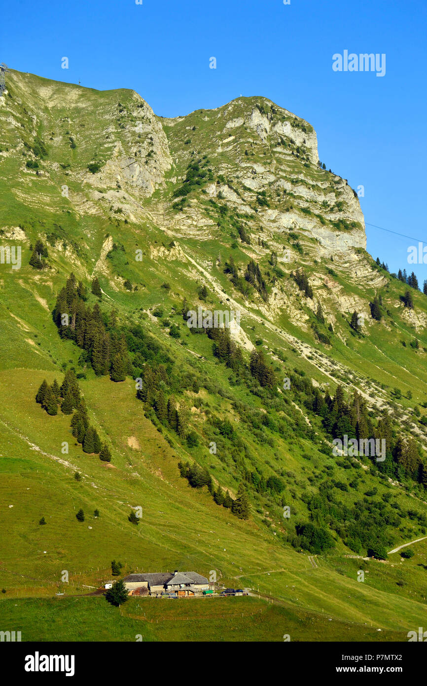 Switzerland, Canton of Fribourg, Gruyeres, the Moleson, 2002m, emblematic summit of La Gruyeres, Farm of high mountain pasture Stock Photo