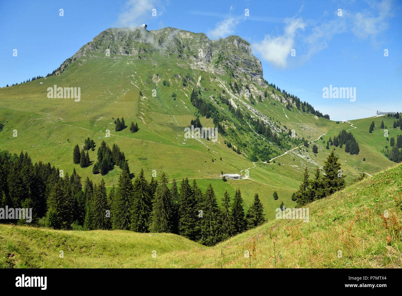 Switzerland, Canton of Fribourg, Gruyeres, the Moleson, 2002m, emblematic summit of La Gruyeres, Farm of high mountain pasture Stock Photo