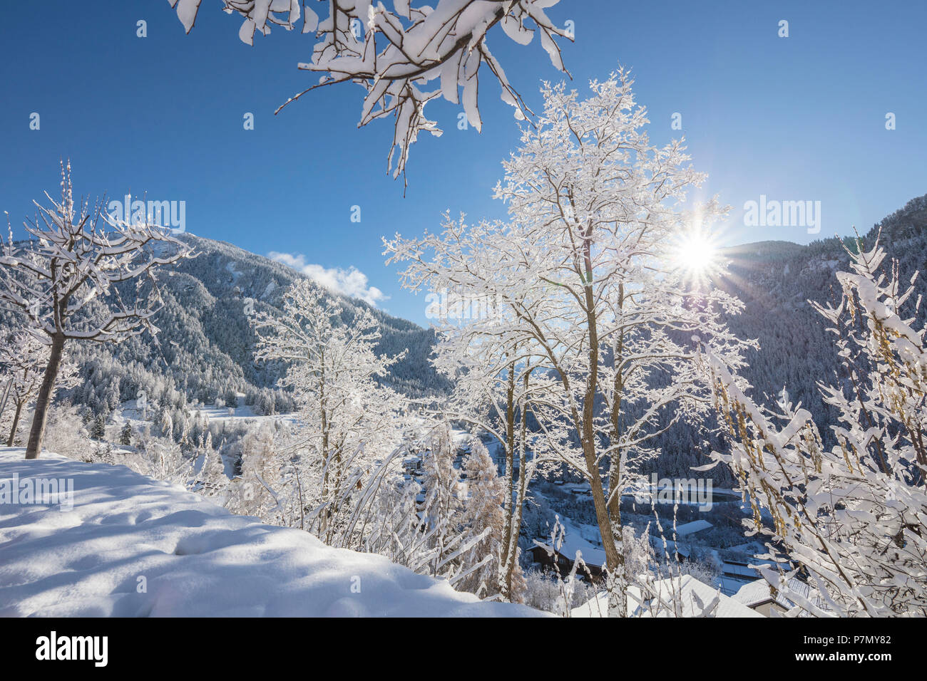 Sunbeam on snowy woods, Filisur, Albula Valley, Canton of Graubünden, Switzerland Stock Photo