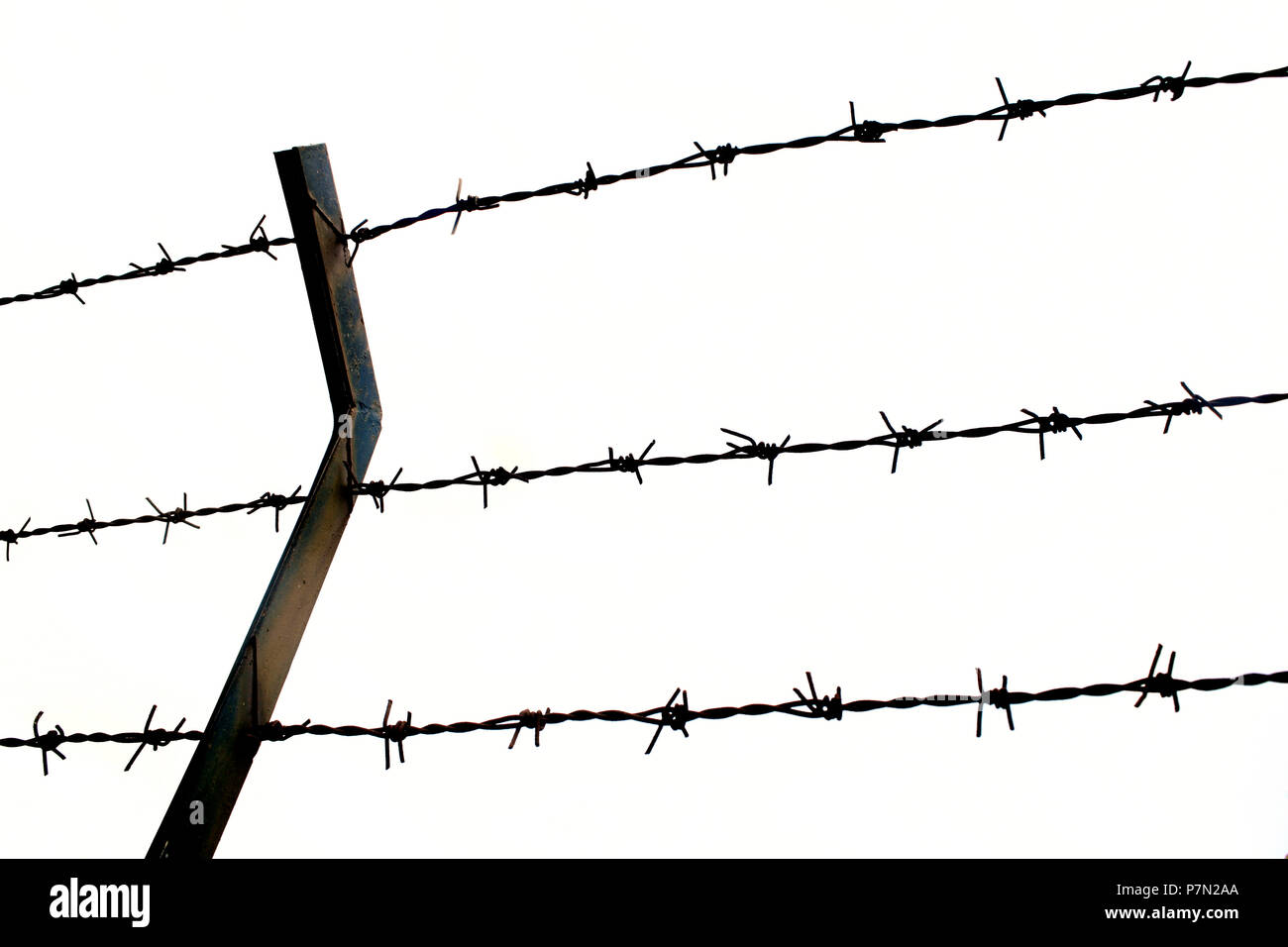 close up Barbed wire Fence and clear sky Stock Photo