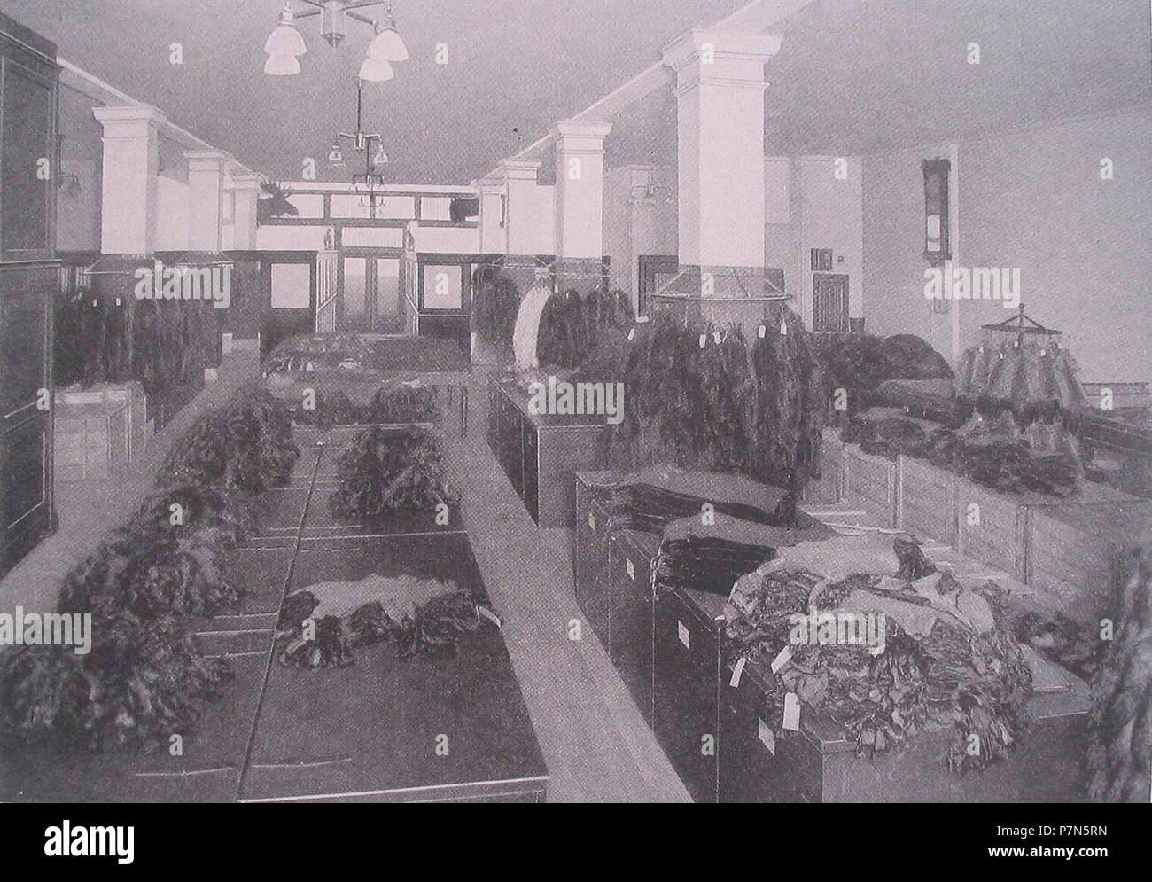 300 Jahre Familie Thorer 50 Jahre Theodor Thorer (27 Stock Photo Alamy