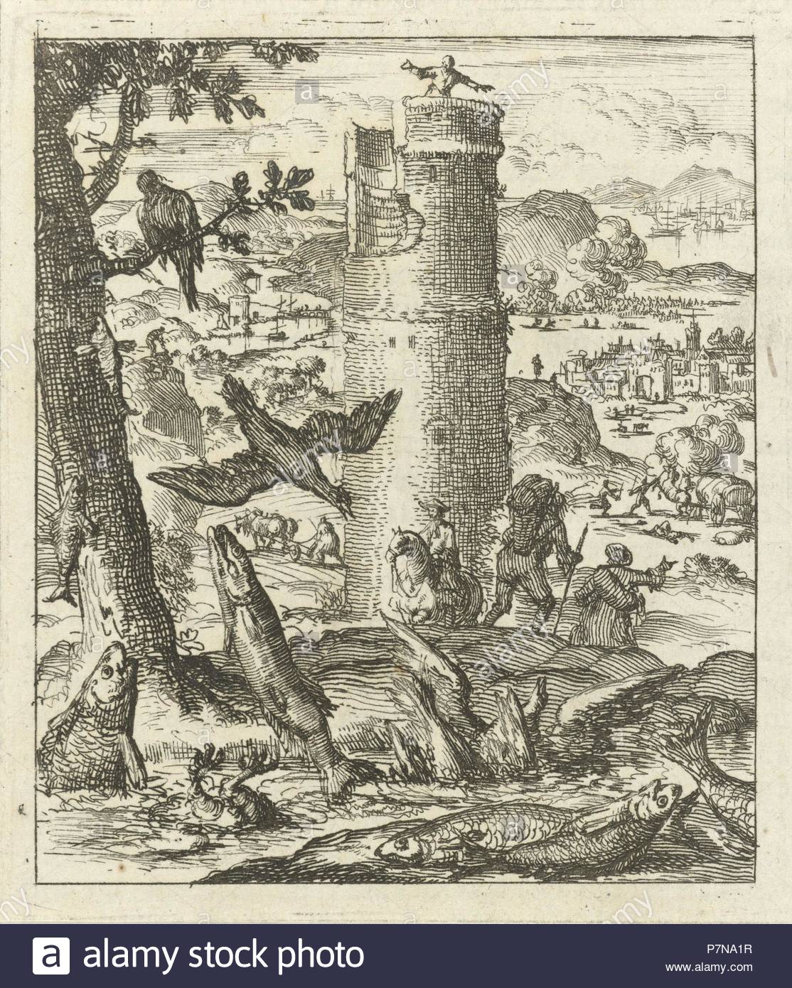 My Image 19