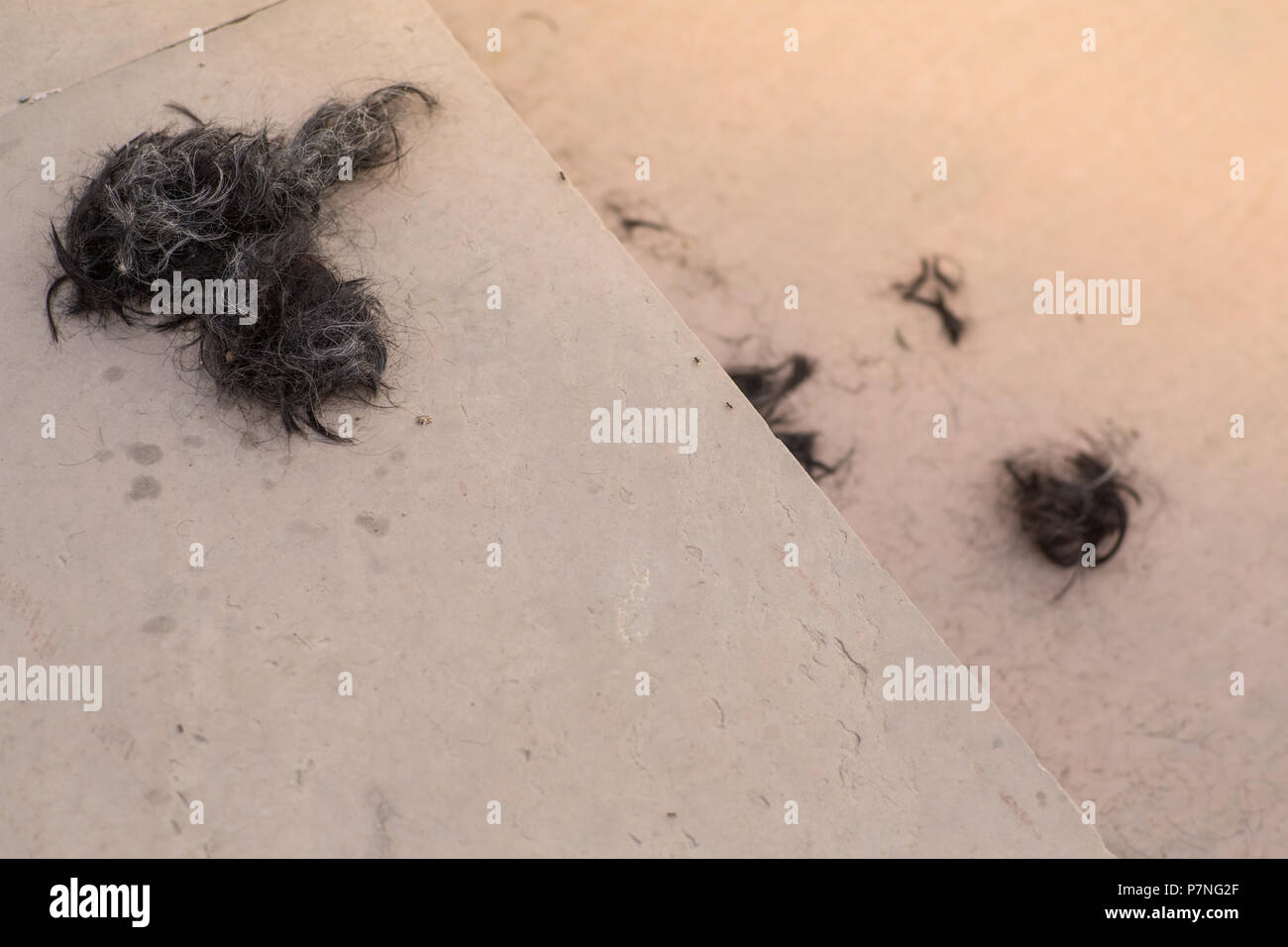 Closeup of hair that has been cut of in a religious ceremony on a staircase  in front of a temple in Pushkar, India Stock Photo - Alamy