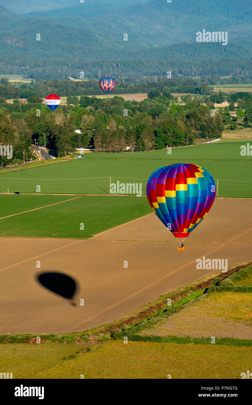 Hot air balloons soaring over fields and mountains during the Balloon