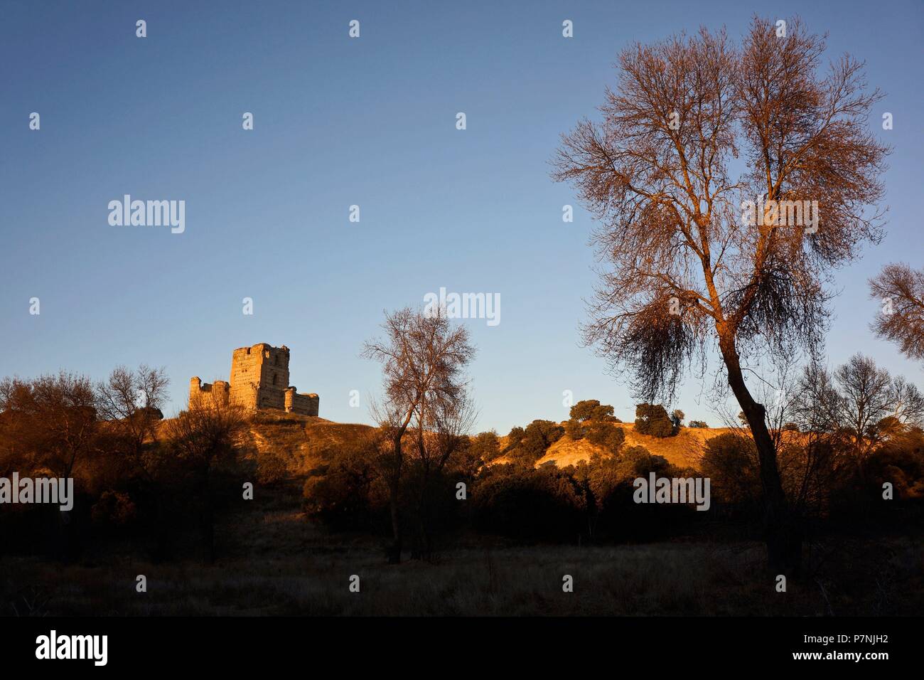 CASTILLO DE AULENCIA O DE VILLAFRANCA DEL CASTILLO Stock Photo Alamy