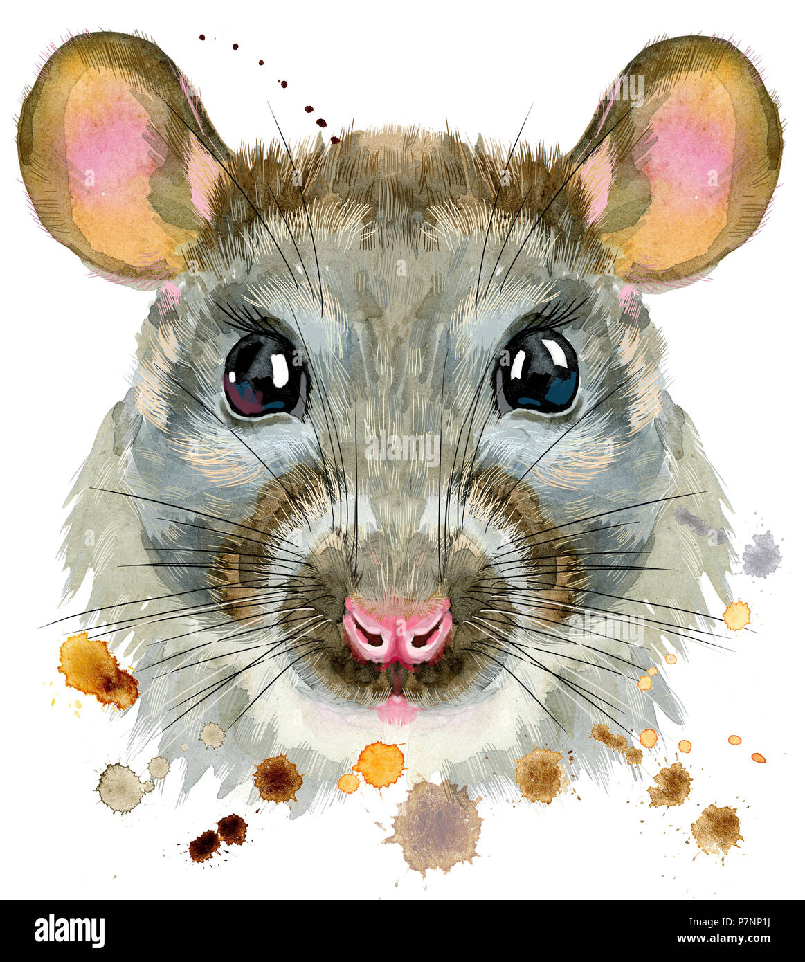 Cute rat for t-shirt graphics. Watercolor rat illustration Stock Photo