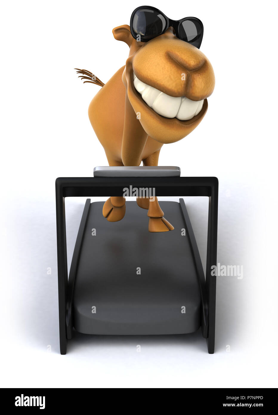 Camel Gym Routine Gym cardio asia hi-res stock photography and images - Alamy
