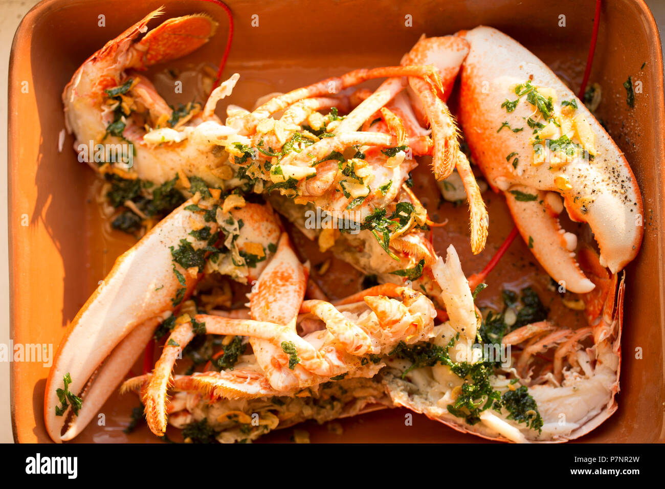 A boiled, cooked lobster, Homarus gammarus,  from the English Channel that has been caught in a pot. The lobster has been split after cooking and driz Stock Photo