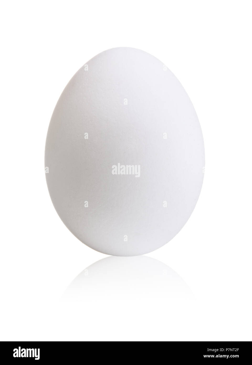 one white egg on white background, isolated Stock Photo