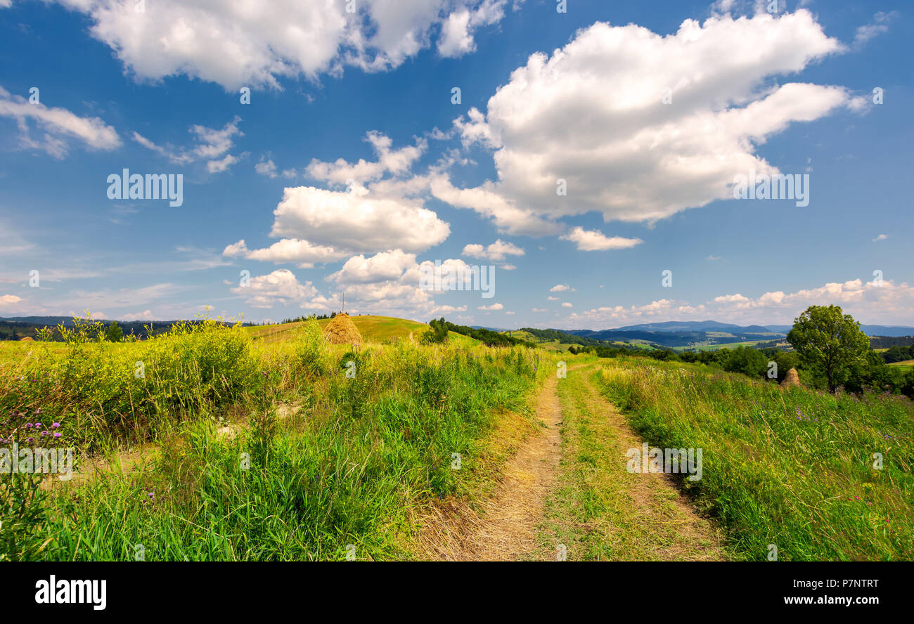 beautiful rural landscape in mountains. lovely summer scenery. road through agricultural field under the blue sky with fluffy clouds Stock Photo