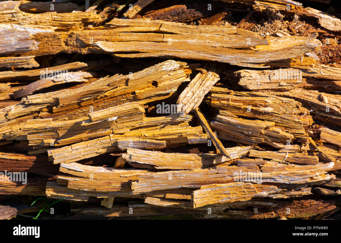 texture of moldering wood log. Old grungy and weathered brown wooden surface background Stock Photo