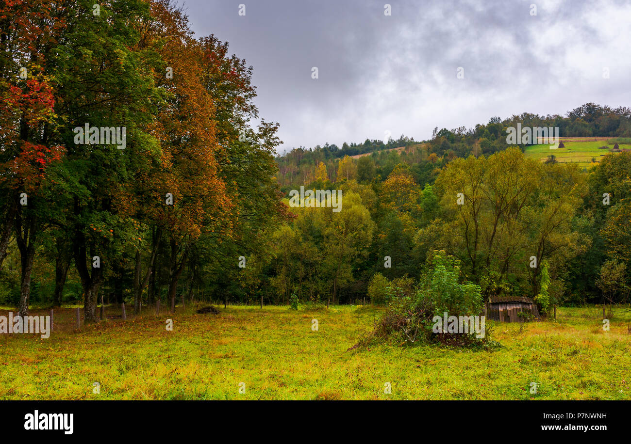 abandoned garden in autumn hazy weather. hill with haystacks on rural field in the distance Stock Photo