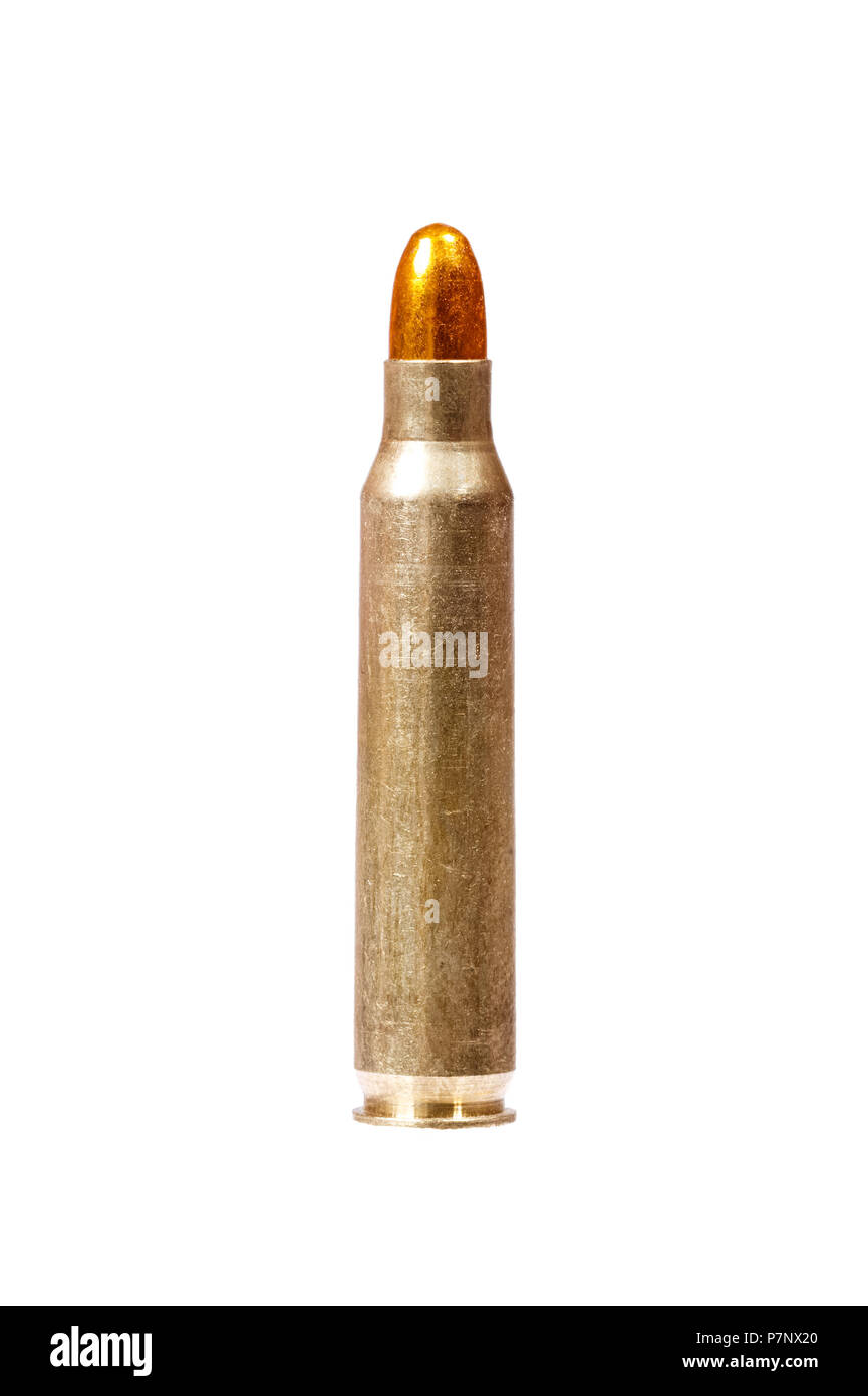 Single Bullet close-up. Stock Photo