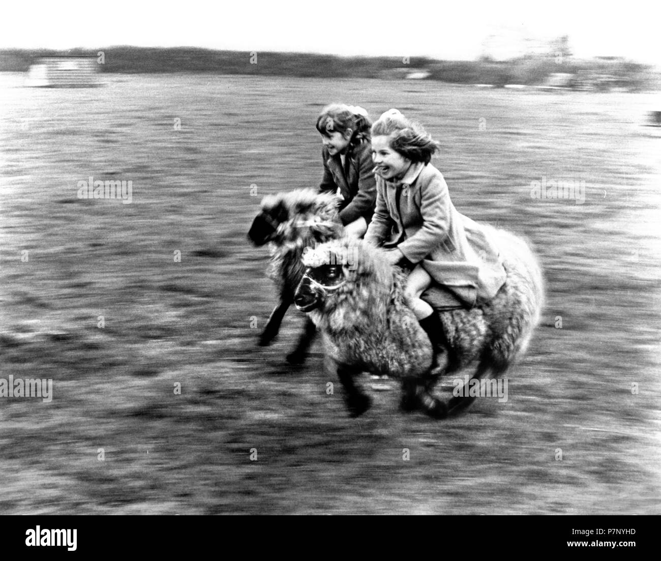 Girl on a white horse Black and White Stock Photos & Images - Alamy