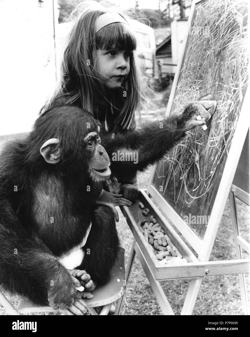 Chimpanzee with girls on blackboard, England, Great Britain Stock Photo