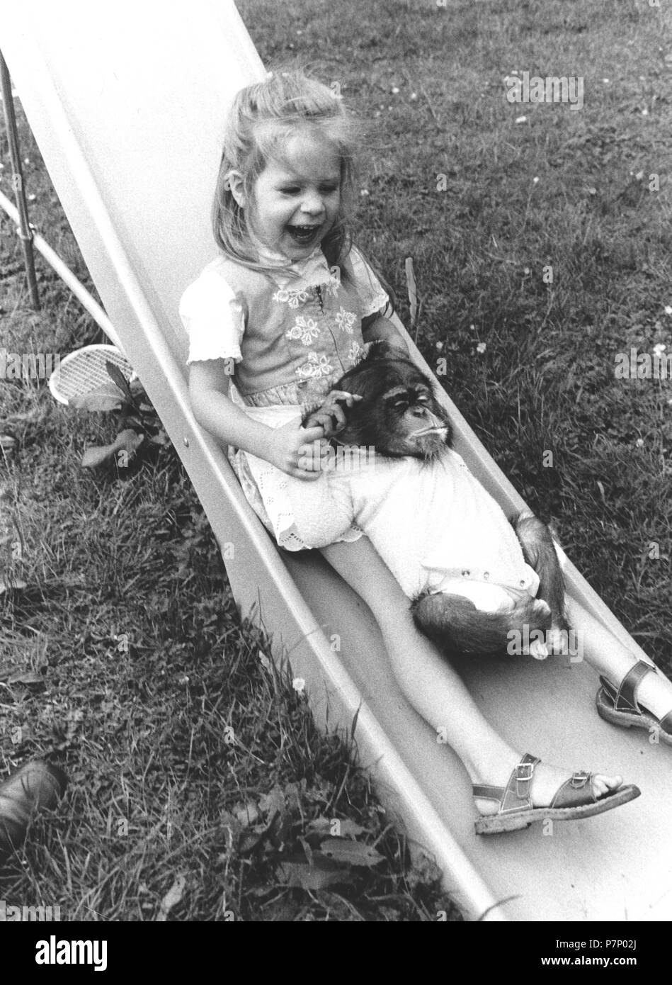Girl and chimpanzee on the slide, England, Great Britain Stock Photo