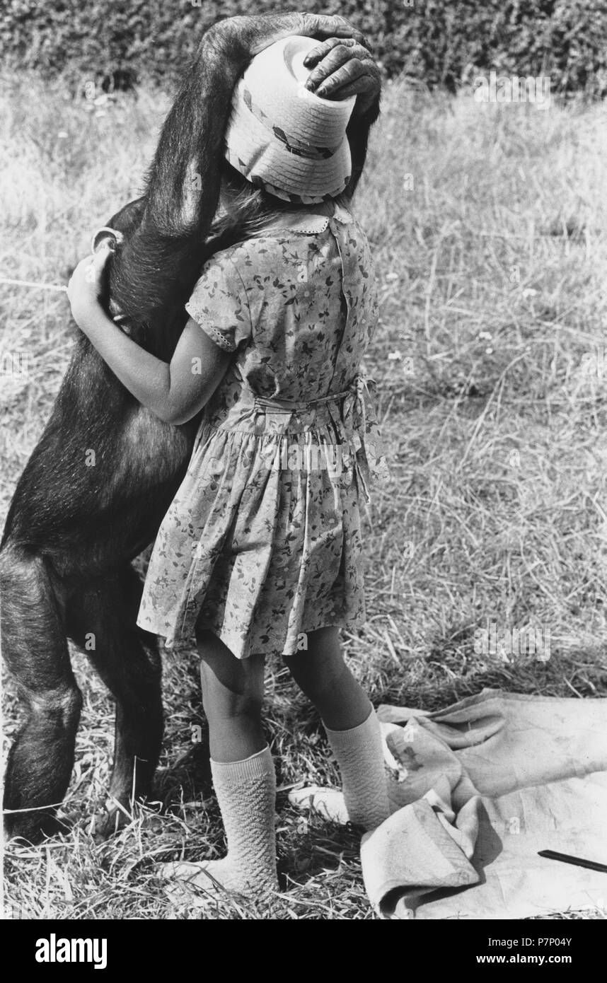 Girl and chimpanzee kissing in the meadow, England, Great Britain Stock Photo