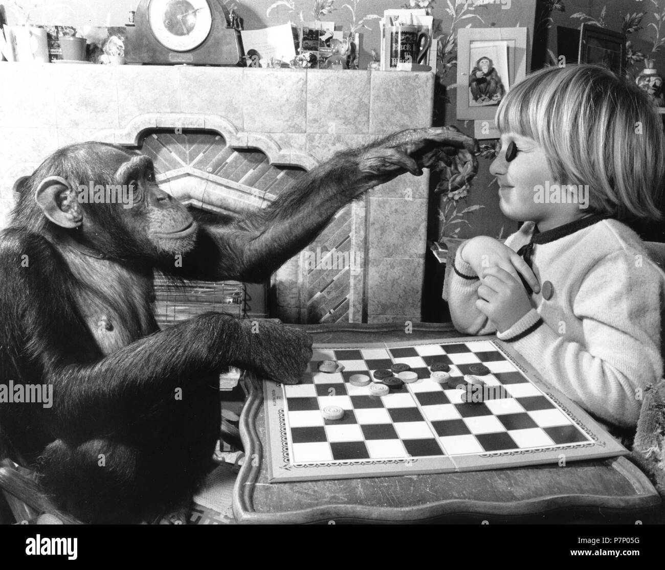 Girl and chimpanzee play the mill, England, Great Britain Stock Photo