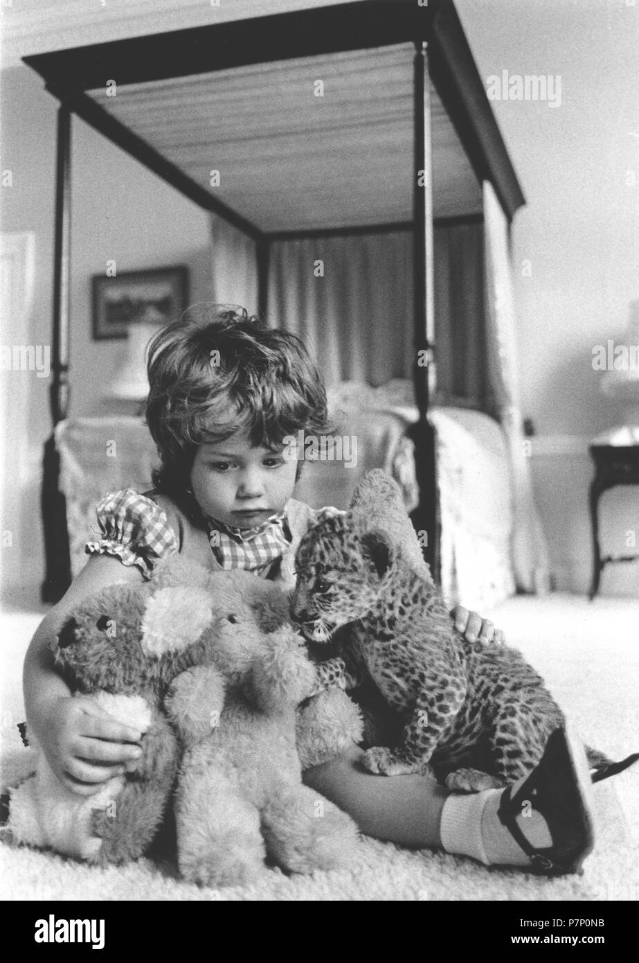 Girl plays with a baby predator and stuffed animals, England, Great Britain Stock Photo