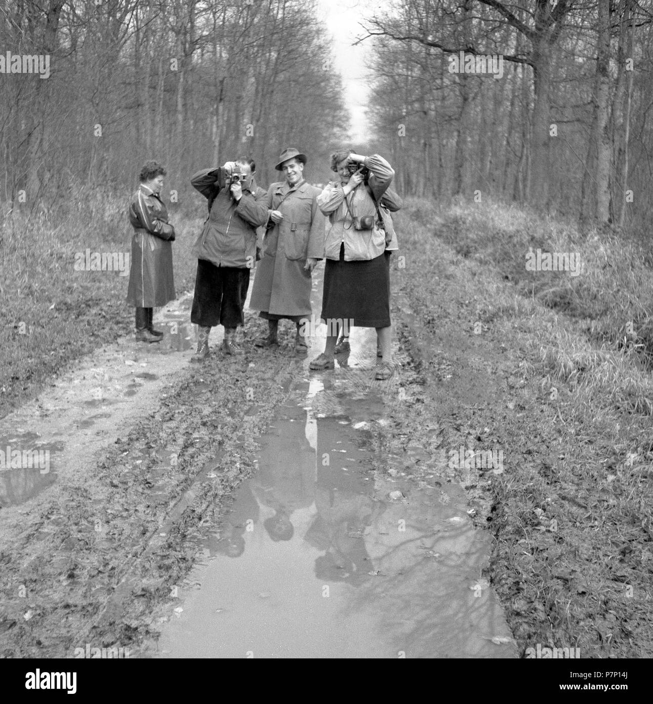 Humans on a forest road, ca. 1950, near Freiburg, Germany Stock Photo
