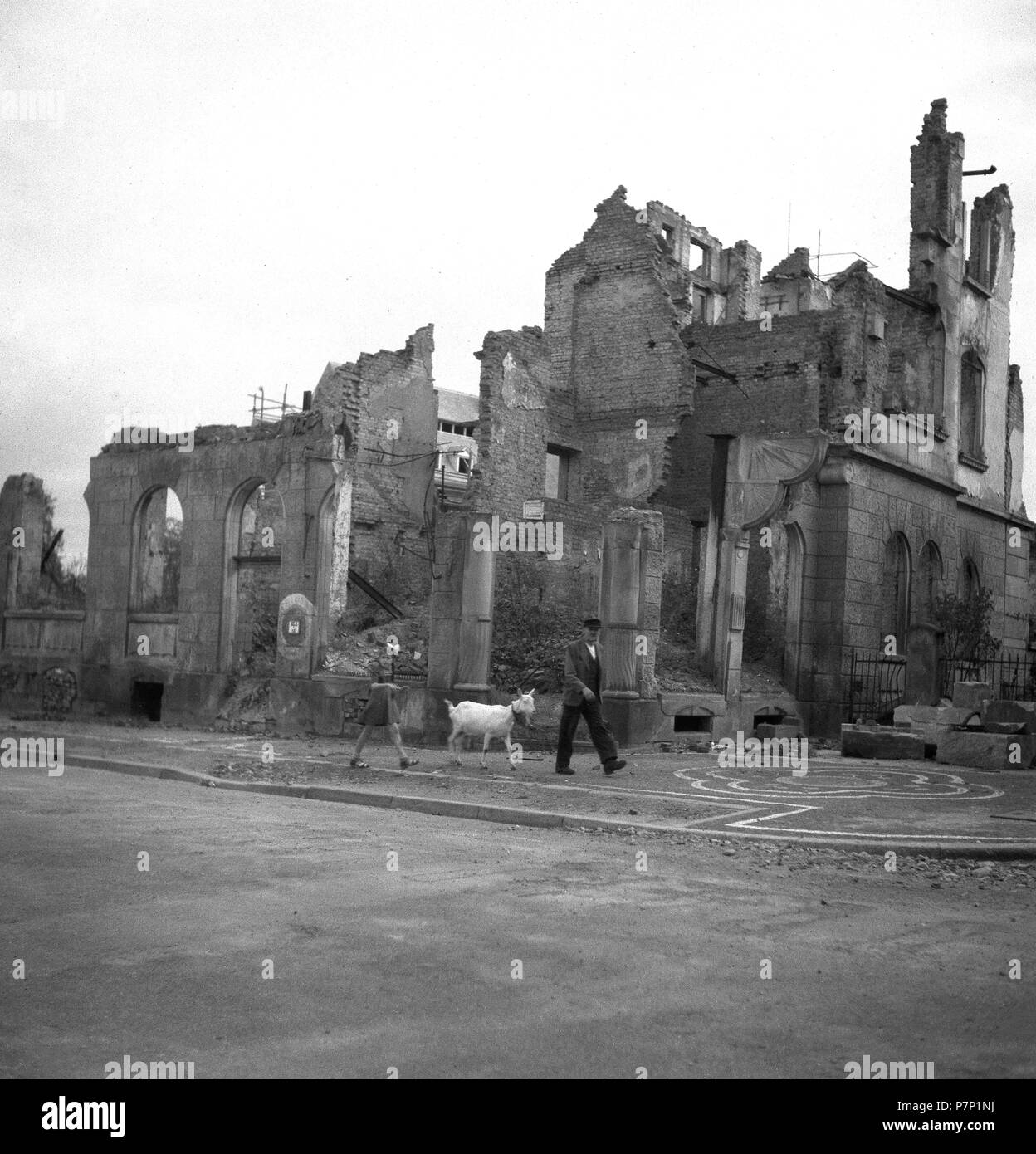 Man and girl strolling with a goat along destroyed buildings in Freiburg, after 1945, Freiburg, Germany Stock Photo