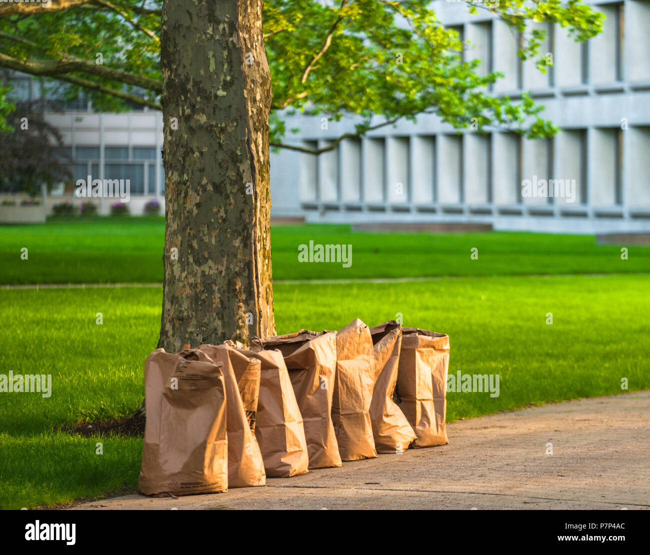 Row of recycling yard waste paper bags Stock Photo
