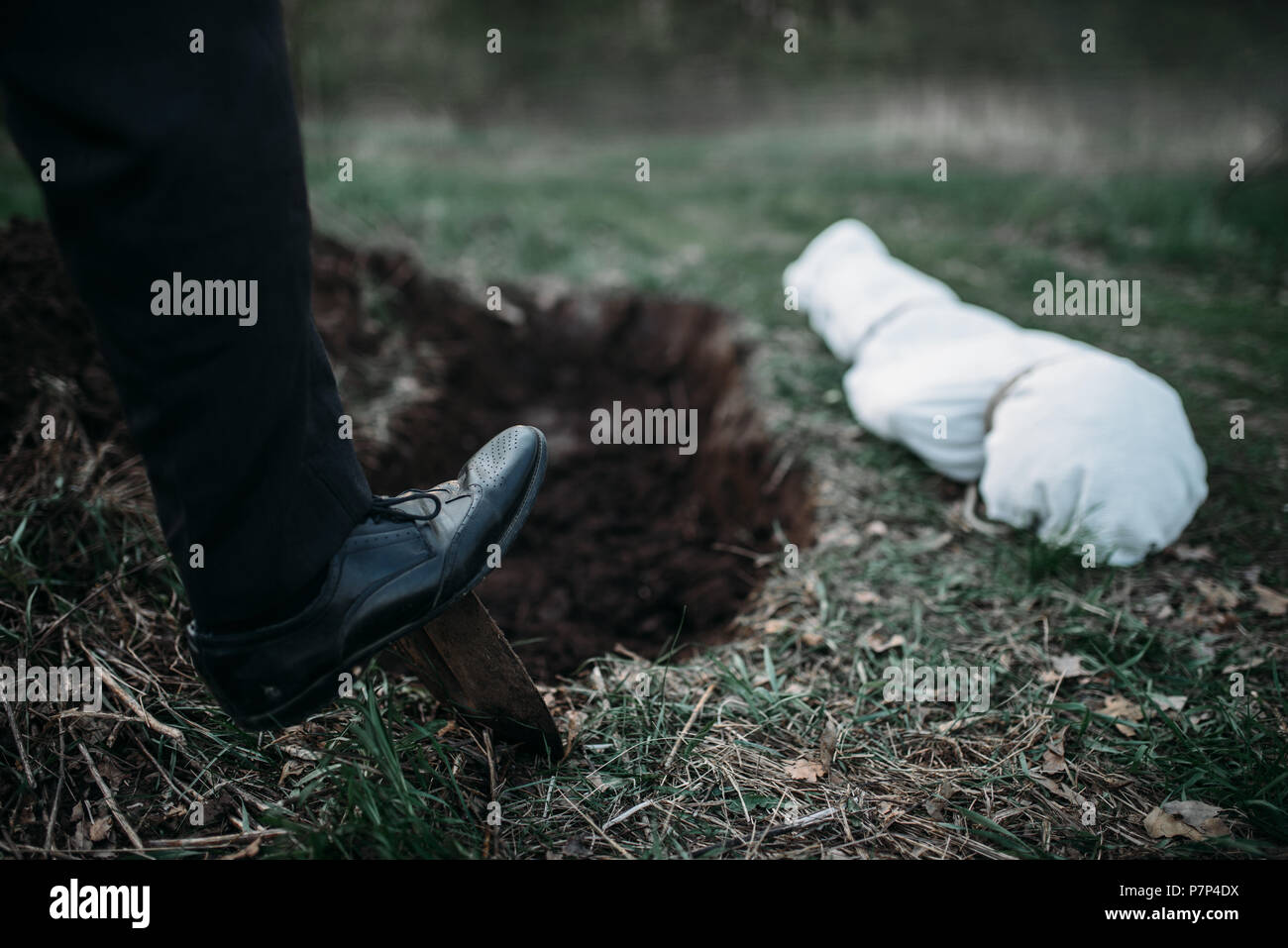 Male murderer with a shovel is digging a grave Stock Photo Alamy