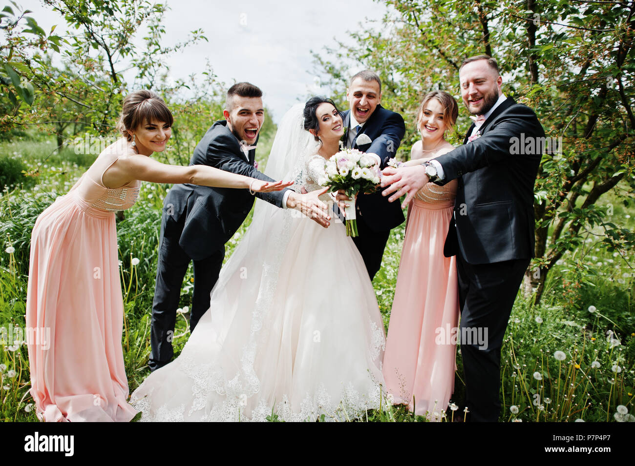Elegance Wedding Couple Bridesmaids Best Stock Photos Elegance