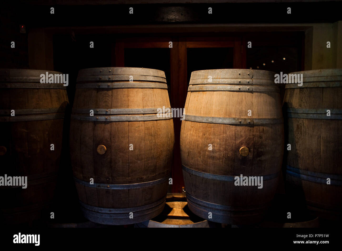Barrels of South African wine in a wine cellar Stock Photo
