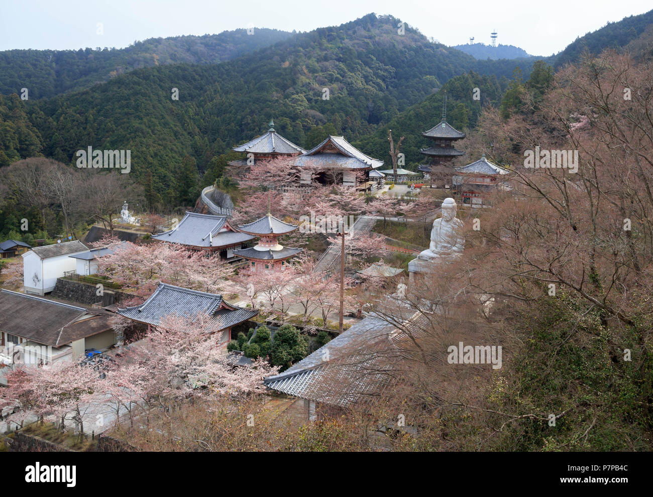 View from above Minamihokke Temple nestled in Tsubosaka Mountains in spring Stock Photo
