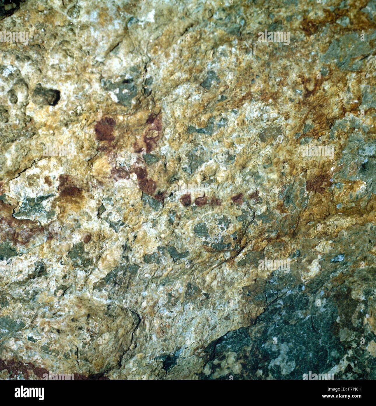 CUEVA DE ARENAZA. ZONA I - FIGURA 2: DIBUJO PARCIAL DE UNA CIERVA  . VIZCAYA, PAIS VASCO, ESPAÑA. Stock Photo