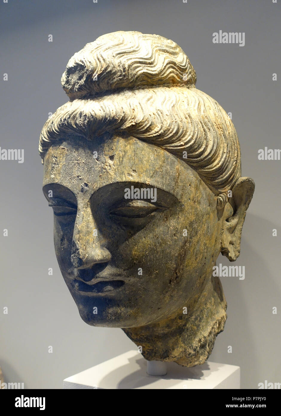 English: Exhibit in the Arthur M. Sackler Museum, Harvard University, Cambridge, Massachusetts, USA. This artwork is in the  because the artist died more than 70 years ago. 11 April 2015, 10:54:34 188 Head of a Buddha, Gandhara, Pakistan, Kushan period, 2nd century AD, schist - Arthur M. Sackler Museum, Harvard University - DSC00827 Stock Photo