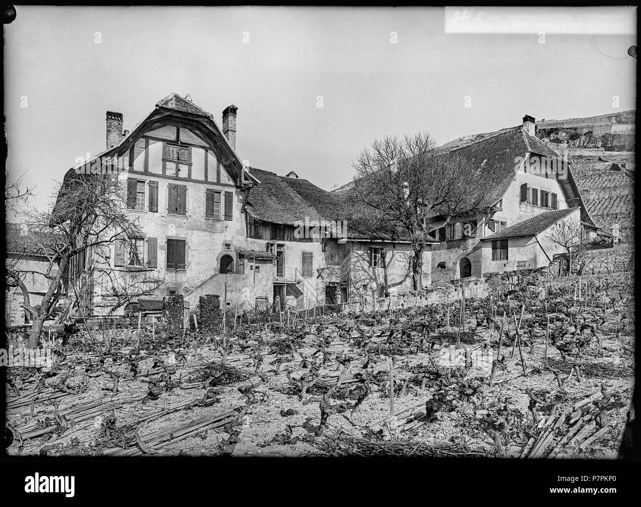 Villette, Maison, vue d'ensemble; Vue d'ensemble de maisons bernoises dans les vignes de Villette. 1899 87 CH-NB - Villette, Maison, vue d'ensemble - Collection Max van Berchem - EAD-7574 Stock Photo