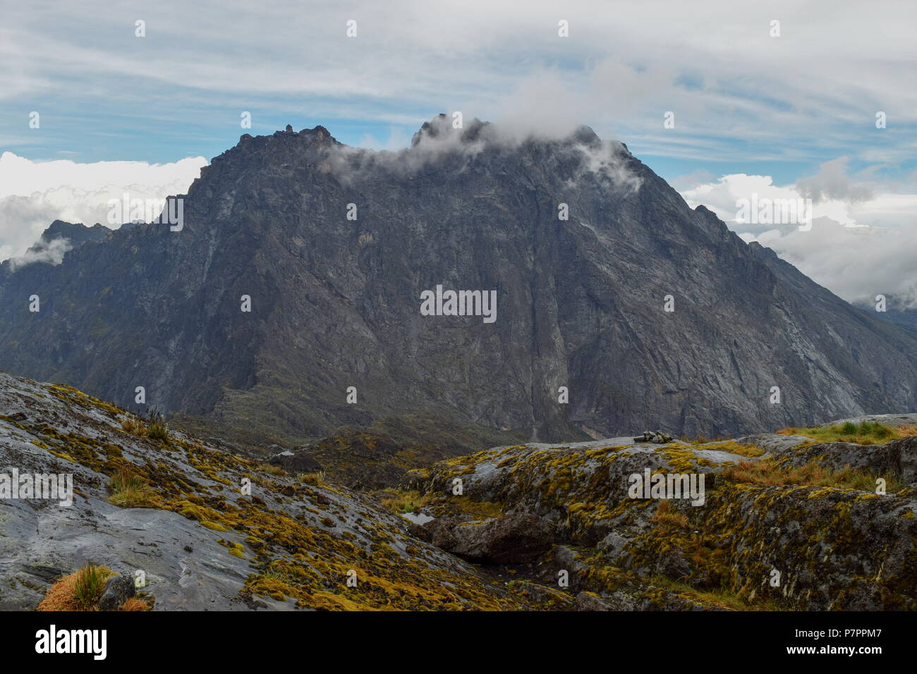 Mount Baker in the Rwenzori Mountains National Park, Uganda Stock Photo