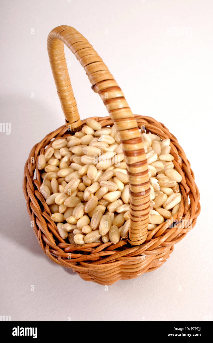 wheat grain in a basket on white background Stock Photo