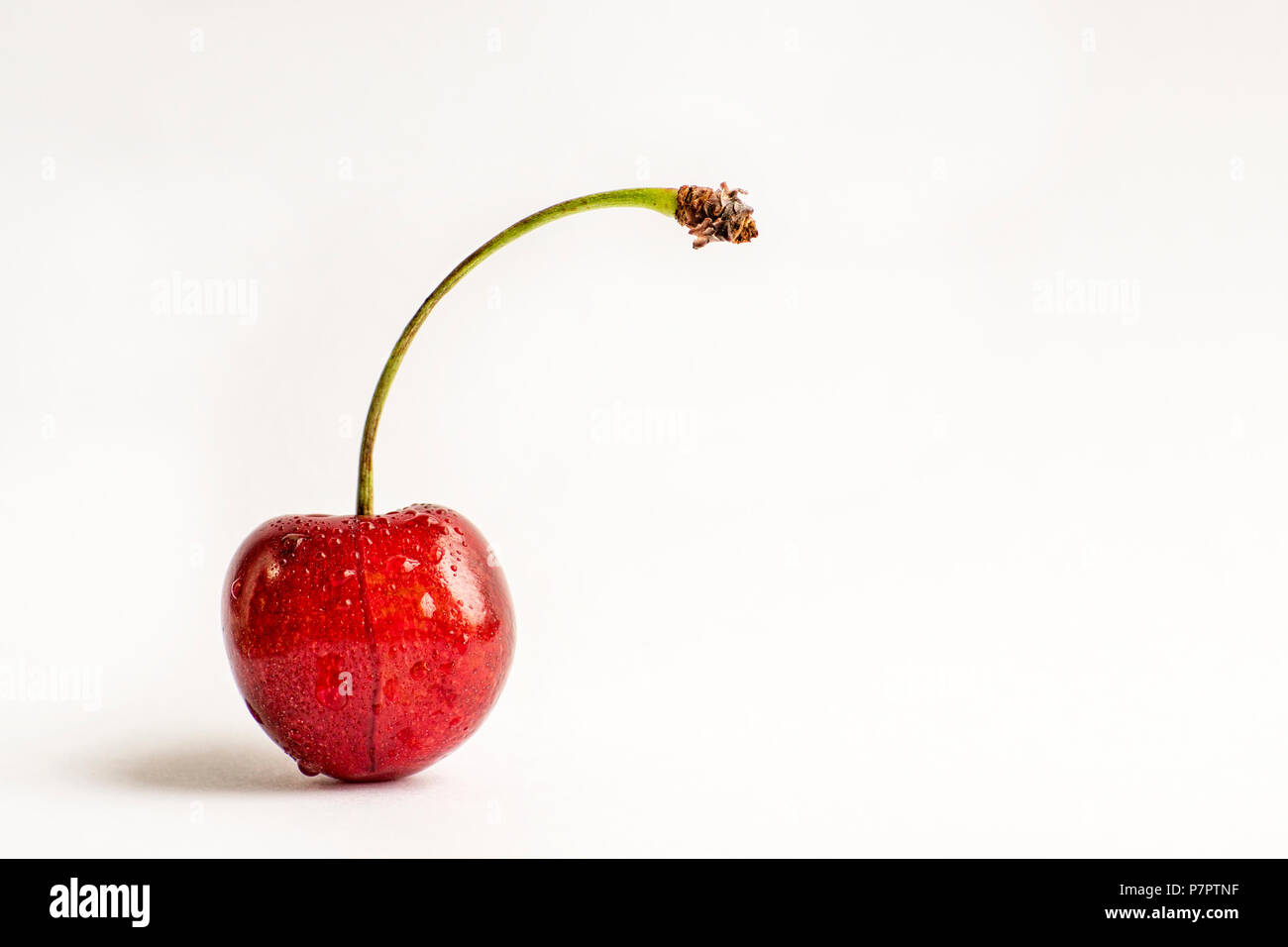Berries of ripe cherries, drops of dew, one piece. Studio white background Stock Photo