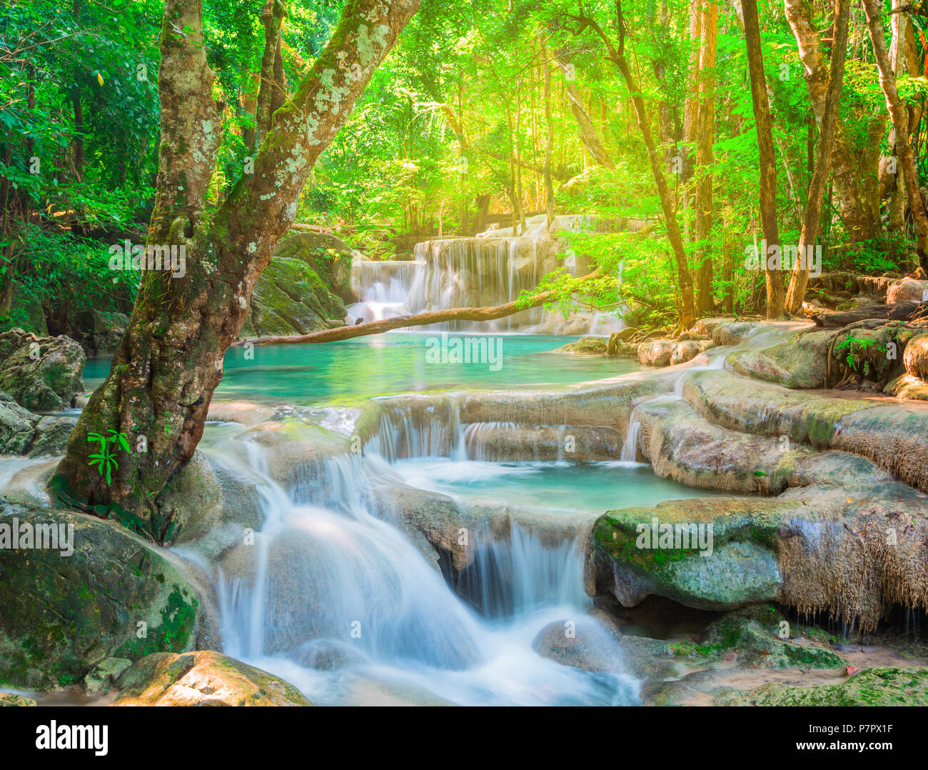 Beautiful Rainforest Waterfall 213 Amazon Rainforest Waterfall Stock Beautiful Rainforest Waterfall 213 Amazon Rainforest Waterfall Stock