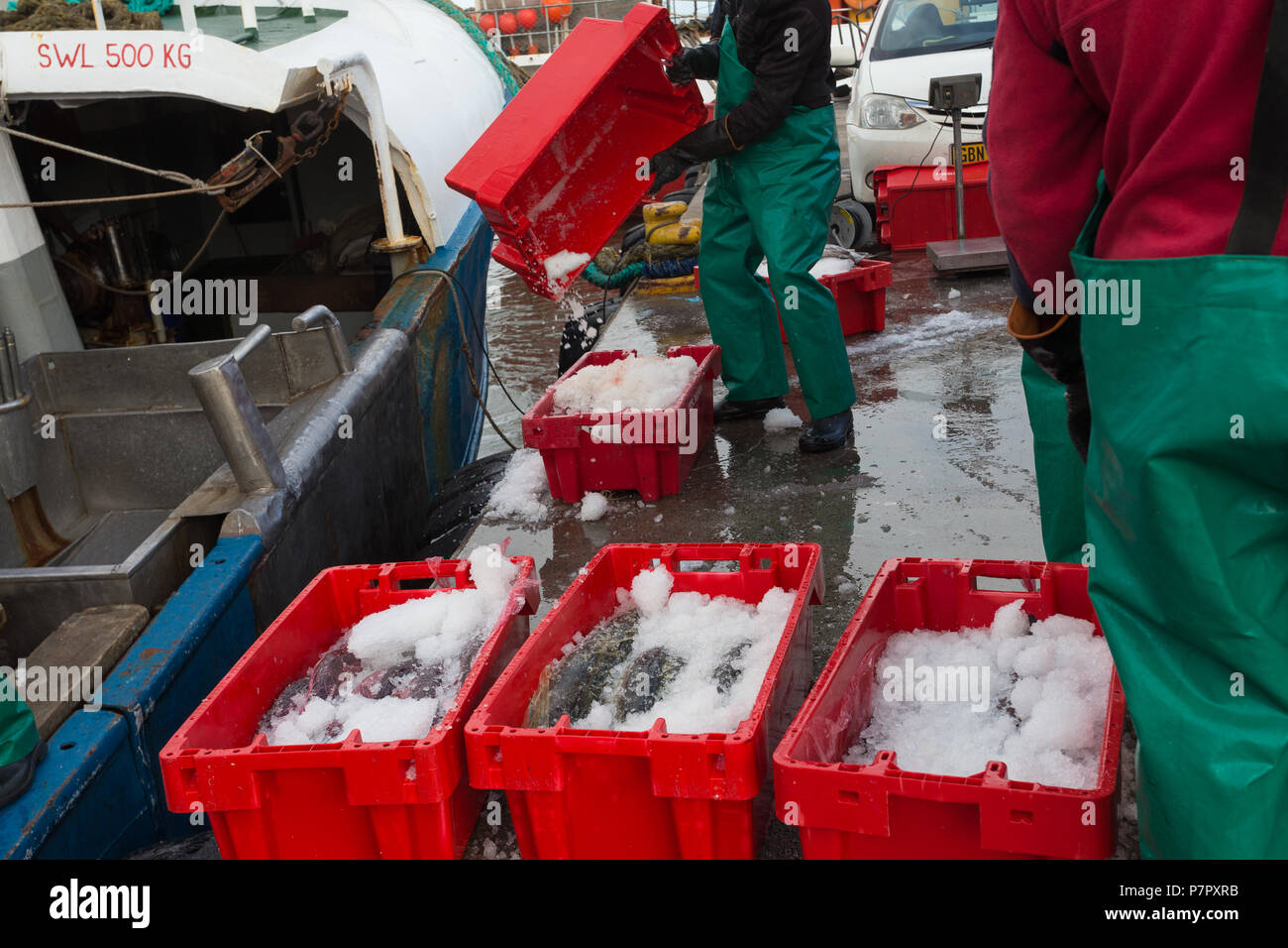 Fish Loading Jetty landed fresh fish in plastic crates being offloaded from moored fishing ...